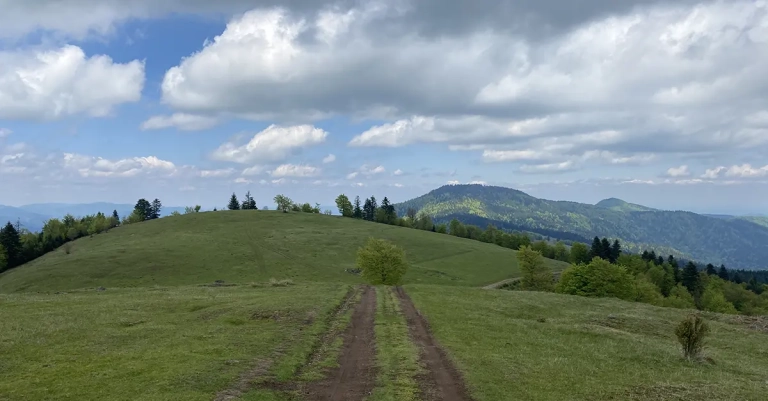 Vrh Palašnica na planini Mahnjača