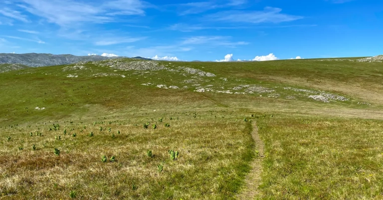 Planina Obalj