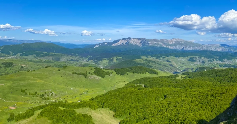 Studen potok