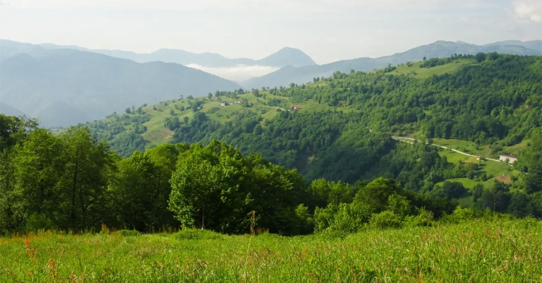 Vrh Palašnica na planini Mahnjača