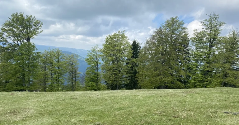 Vrh Palašnica na planini Mahnjača