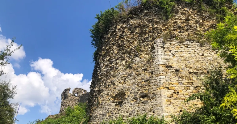 Bužimska tvrđava