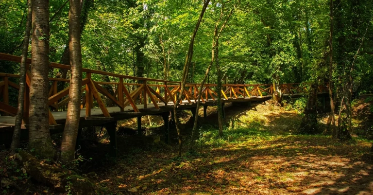 Japodski otoci