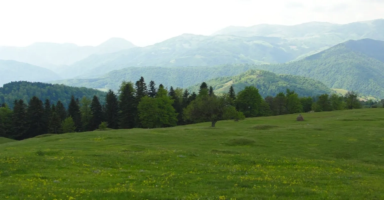 Vrh Palašnica na planini Mahnjača