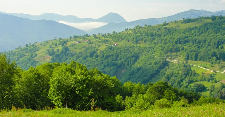 Planina Vepar