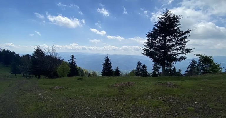 Vrh Palašnica na planini Mahnjača