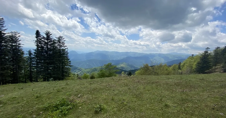 Vrh Palašnica na planini Mahnjača
