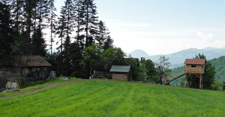 Vrh Palašnica na planini Mahnjača