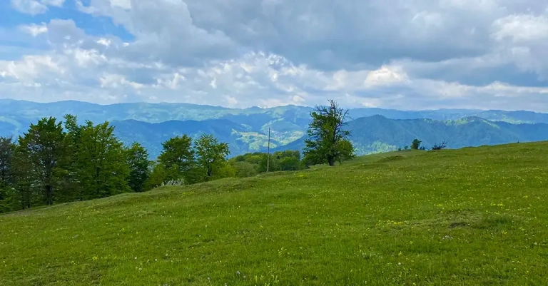 Vrh Palašnica na planini Mahnjača