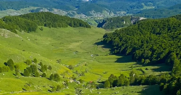 Studen potok