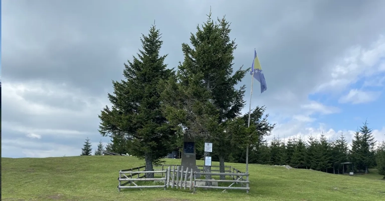 Vrh Palašnica na planini Mahnjača